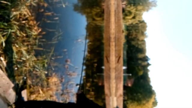 Василич на рыбалке) Жизнь после танков и скайрима ;) смотреть онлайн