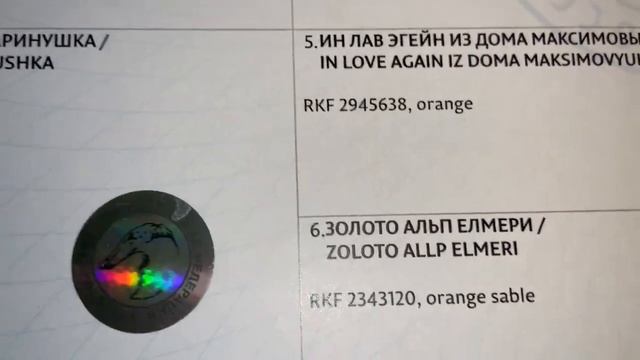 Родословная Дони и необычные имена в ней. смотреть онлайн
