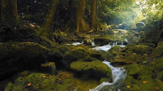 Фридрих Шиллер - Тайна смотреть онлайн