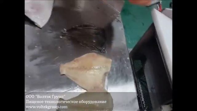 Шкуросъёмная машина для тонкокожих пород рыб GB-260 смотреть онлайн
