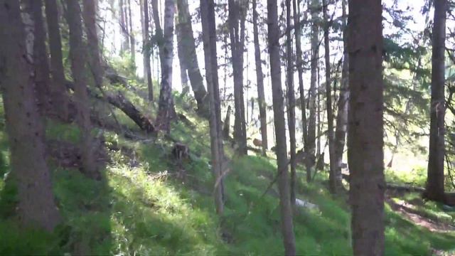 Спринтерская рыбалка на хариуса и ельца. Мура - Невонка. Хороший хариус рядом с домом. смотреть онлайн