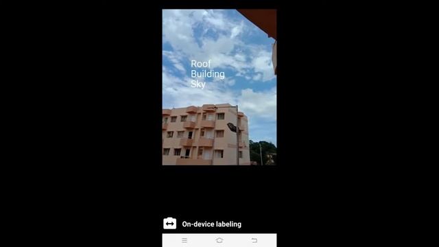Demo | ML Kit Tutorial: How to determine content of an image(Image Labeling) смотреть онлайн