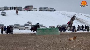 Жестокий момент Кок-бору 2024