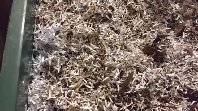 Worm Factory 360 WF360B Worm Composter Review - Big Success смотреть онлайн