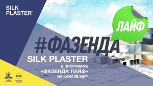Декоративная штукатурка SILK PLASTER в программе «Фазенда Лайф»