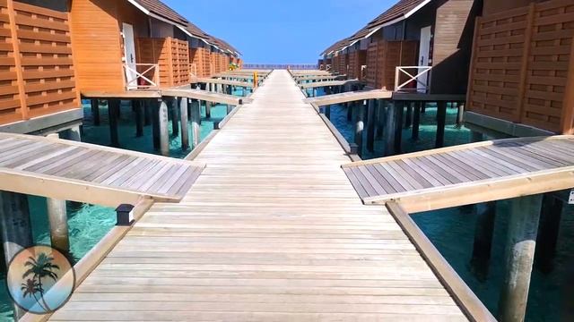 Dhigufaru Island Resort MALDIVES ?| FULL Resort TOUR | HD Visit | Baa Atoll Biosphere Reserve Vlog смотреть онлайн