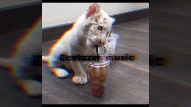 Ecstazes music - одному ❤️ смотреть онлайн