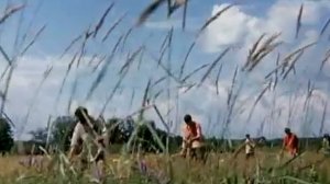 Не жалею не зову  не плачу...