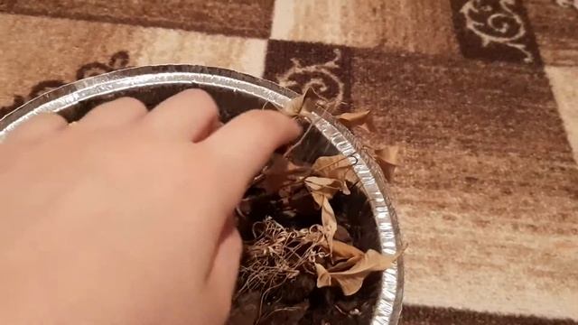 Вторая часть домик бабы яги в миниатюре! смотреть онлайн