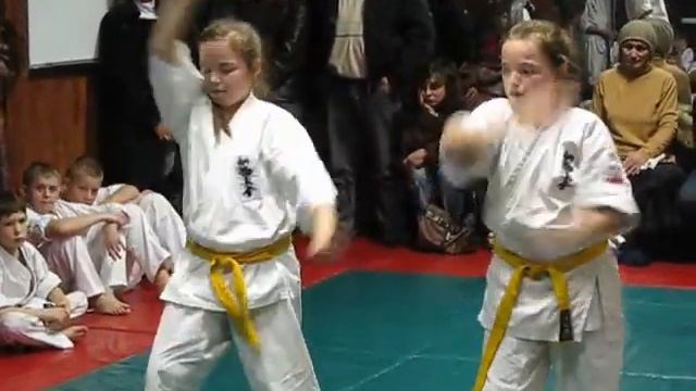 Аттестация Ск"Будокан" Кировоград. смотреть онлайн