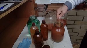 Винный гриб. Технология домашнего вина