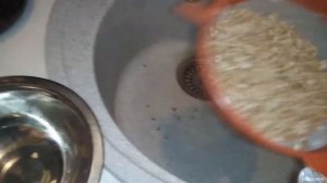 КАК приготовить КАШУ для попугая.  ЗАПАРИВАЕМ кашу для ВОЛНИСТОГО попугая