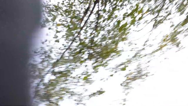 Стоят березы, вдоль дороги... смотреть онлайн