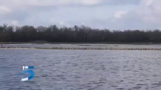 ЗАПОРОЖЬЕ ? ГДЕ МОЖНО ЛОВИТЬ РЫБУ В ЗИМНИЙ ЗАПРЕТ смотреть онлайн