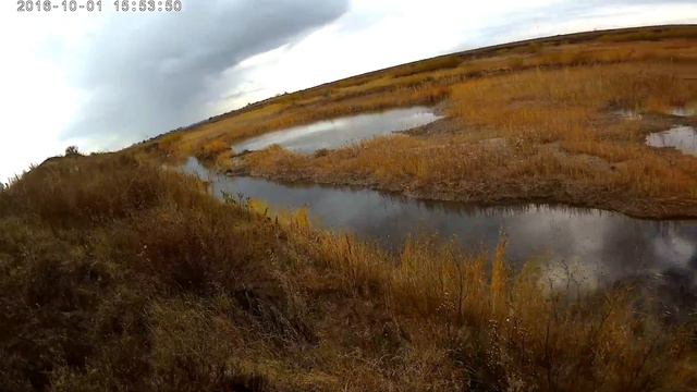 Охота на утку.Duck Hunting.Казахстан охот. Караганды. смотреть онлайн