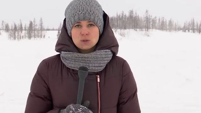 Подготовка к празднику смотреть онлайн