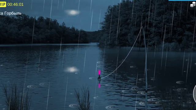 My Fishing World: Путь спинингиста с самого нуля.