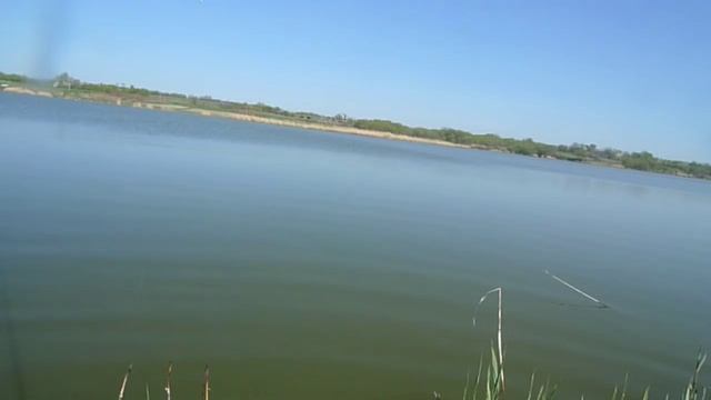 Ловля карася на болонскую удочку(поплавок) смотреть онлайн