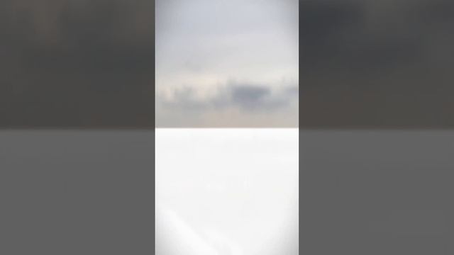 2-комнатная квартира в комплексе бизнес-класса смотреть онлайн