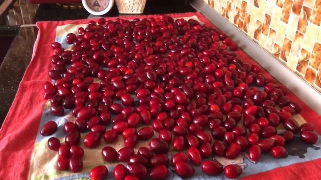 Заморозка КИЗИЛА на зиму••zogalin buzlugda saxlanmasi••kizilcik buzdolabinda•• смотреть онлайн