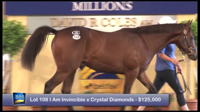 2016 Magic Millions Adelaide Yearling Sale Day 2 Wrap смотреть онлайн