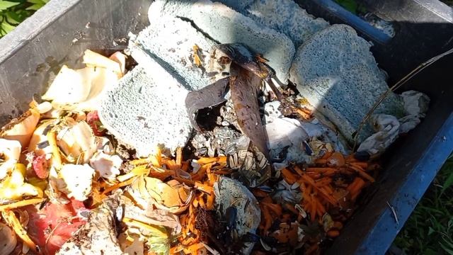 Биогумус из бочки моими руками - червячки мне в помощь! ? Часть 1 смотреть онлайн