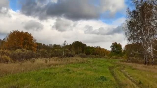 Золотая осень. Это так красиво! Для всех тех кто любит это время года. смотреть онлайн