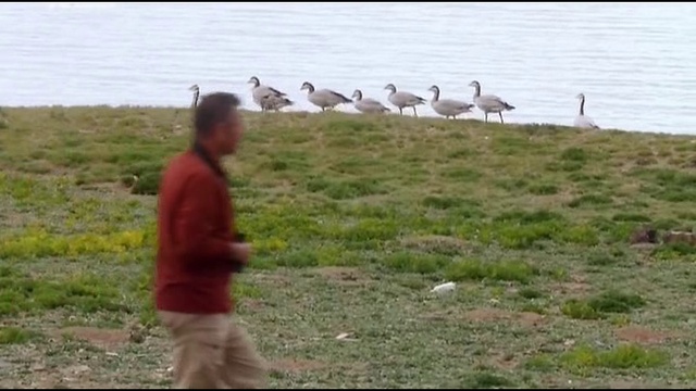 6 серия смотреть онлайн