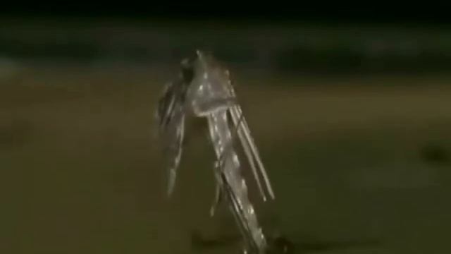 Строительный Тренд