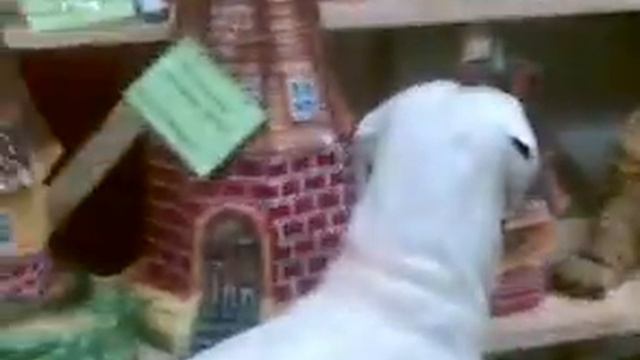 Садовые скульптуры смотреть онлайн