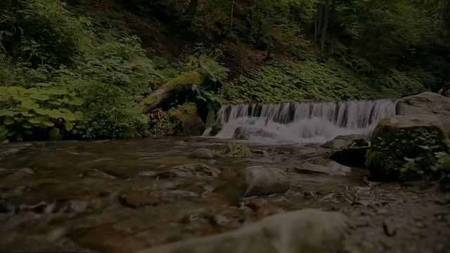 footage waterfalls смотреть онлайн