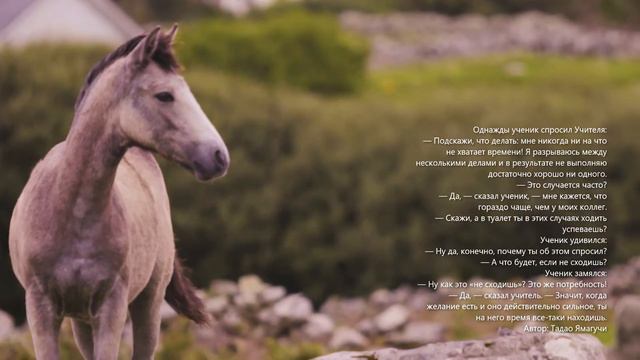 Не хватает времени? смотреть онлайн