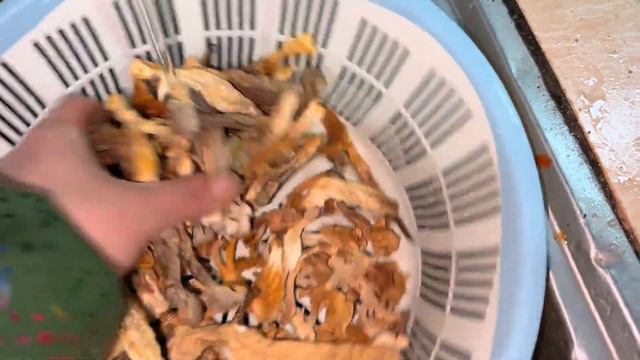 小九不在家，老谭趁着有空把房间收拾干净，等小九肯会很开心 смотреть онлайн