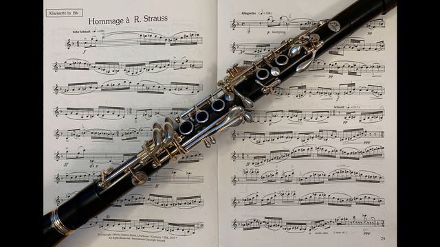 Hommage à R. Strauss by Béla Kovács on Eb Soprano Clarinet смотреть онлайн