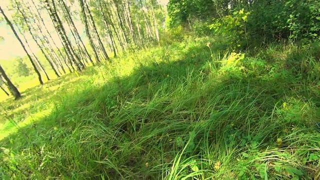 Малина для мамы. смотреть онлайн