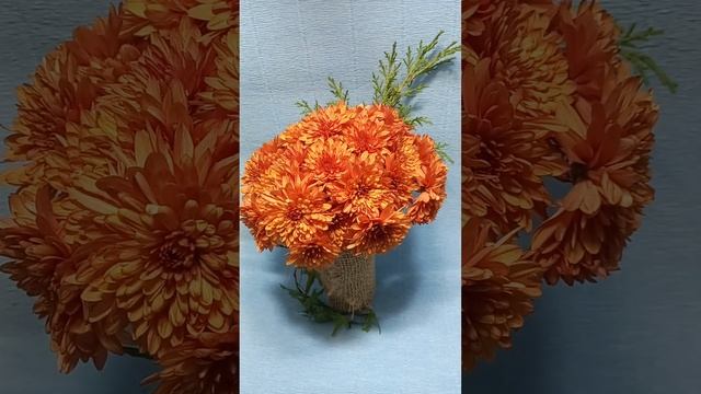 Мультифлор авалон оранж ? #chrysanthemumflower #мультифлора смотреть онлайн