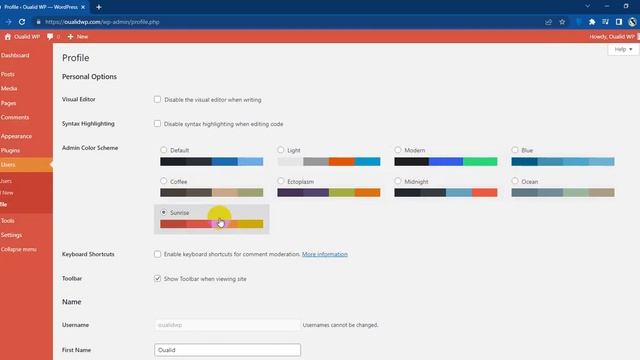 How To Change Admin Color Scheme in WordPress смотреть онлайн