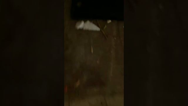 Как нужно разбивать телефон ч 2 смотреть онлайн