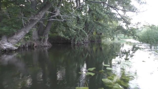 СПЛАВ НА БАЙДАРКЕ ПО РЕКЕ БИТЮГ 2021 | #5 Седьмой день. Время сумерек. смотреть онлайн