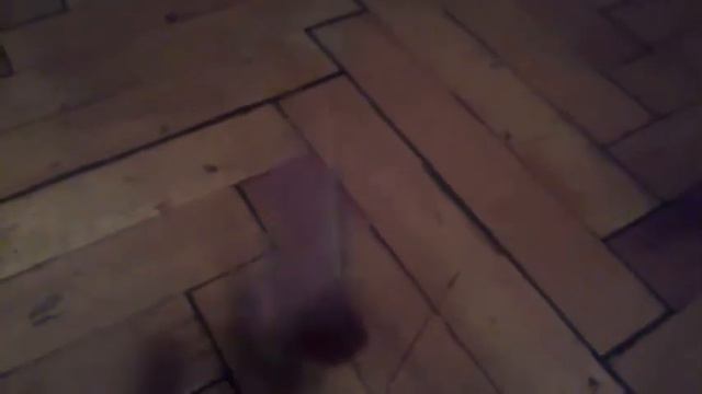 Моя кошка ожила???????😮😱😱😱😱😱😱😱😱😱😱😱😱😱😱😱😼😼😼😼😼😼😼😵😵😵😵😵😵😵😵😵😵🙉🙉🙉🙉🙉👈 смотреть онлайн