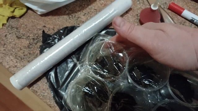 РАССАДУ ПОМИДОР выращивать легко / Посеем семена в стаканы / Томаты вырастим без пикировки смотреть онлайн