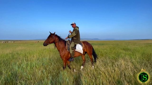ФЕРМЕР. 4К 60кс. Нукутский район. ст. САМВЕЛ
