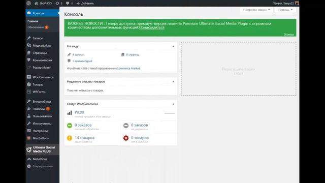 Как создать интернет магазин с нуля самостоятельно. Урок №8 Настройка темы вордпресс (Слайдер) смотреть онлайн
