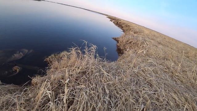 Весенний ХОД ЯЗЯ 2021 в ХМАО, ФИНАЛ. Особенности ловли. смотреть онлайн