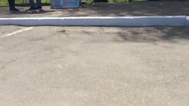 Новое путишествие я в Вилково и на речке Дунай 1мая 2017 года смотреть онлайн