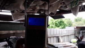 Выход мяса у 3 месячного кролика