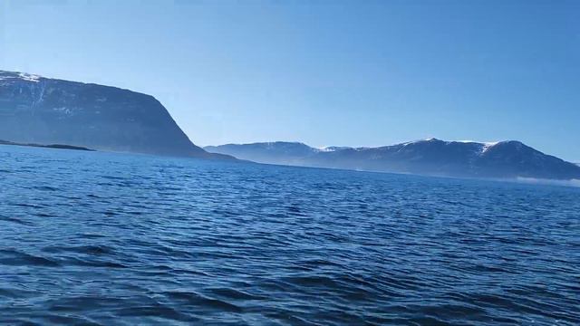 Туман над океаном смотреть онлайн