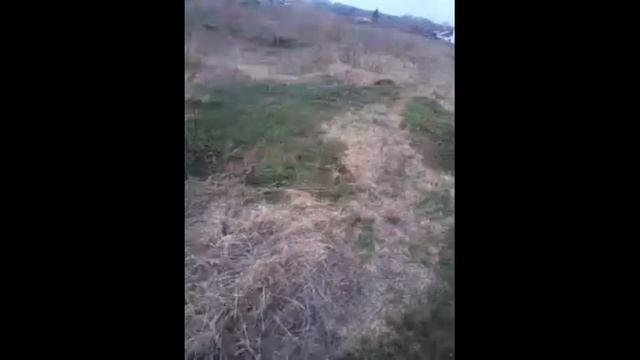 05 05 19 Свалки мусора смотреть онлайн