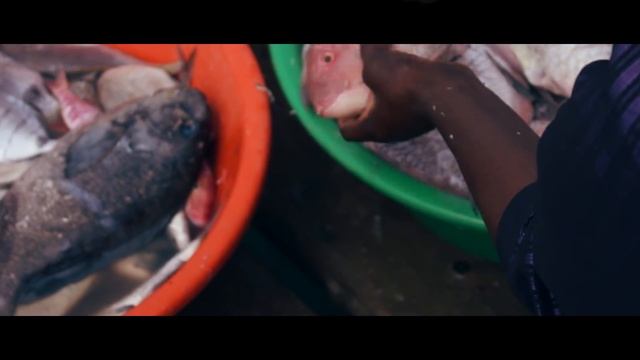 Влог. Кабо-верде. Острова зеленого мыса. Остров Sal. Часть 1 смотреть онлайн