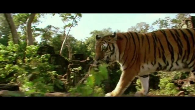 Самые известные животные людоеды смотреть онлайн